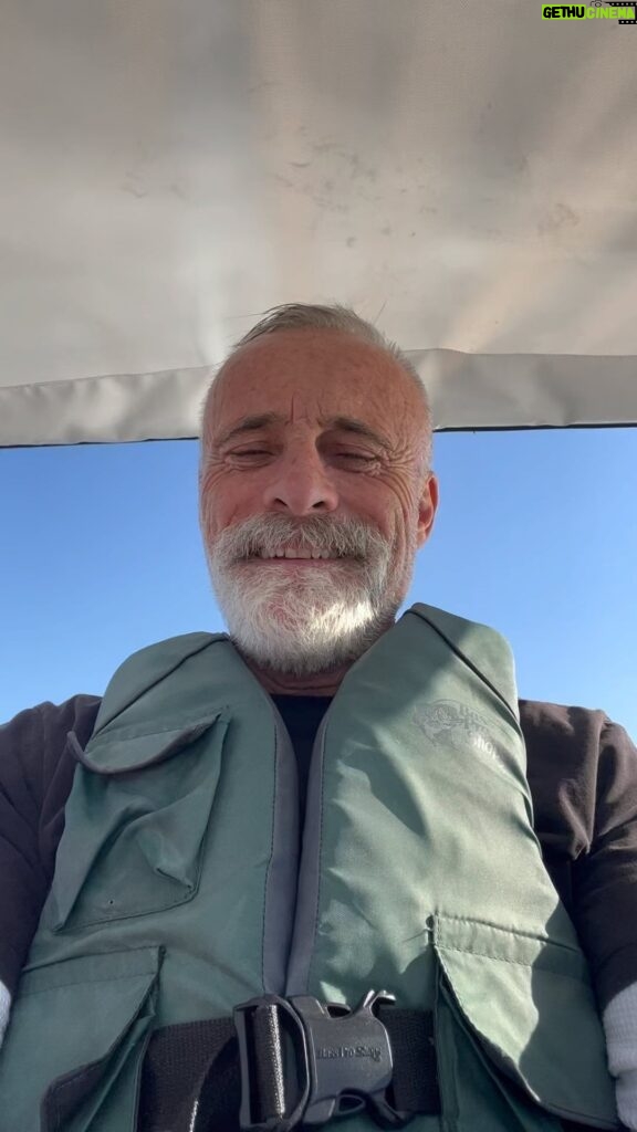 Timothy V. Murphy Instagram - A day out with the kids on a swan @caitlinamanley @doloreslove26 …also I’ll be giving miloanthonyventimiglia a hard time on @companyyoukeepabc at 10pm tonight @catherinehkim @felishavictoriaterrell @thisisbenyounger @polly.draper @geoffmstults #williamfichtner # @barrypaulsloane
