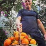 Timothy V. Murphy Instagram - My persimmon harvest!!!🍂🍂🍂🍑🍑🍑 #persimmon …any good recipes out there?
