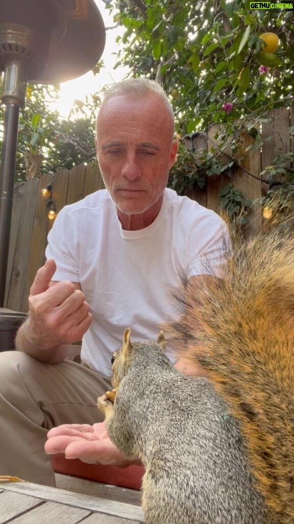Timothy V. Murphy Instagram - Feeding my squirrel 😍😍😍