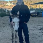 Timothy V. Murphy Instagram - One man and his donkey @caitlinamanley @nickywhelan @spiritofanimalsrescue #donkey 😍😍😍 @carhartt @blackbearbrand @beaglefreedom @thefryecompany