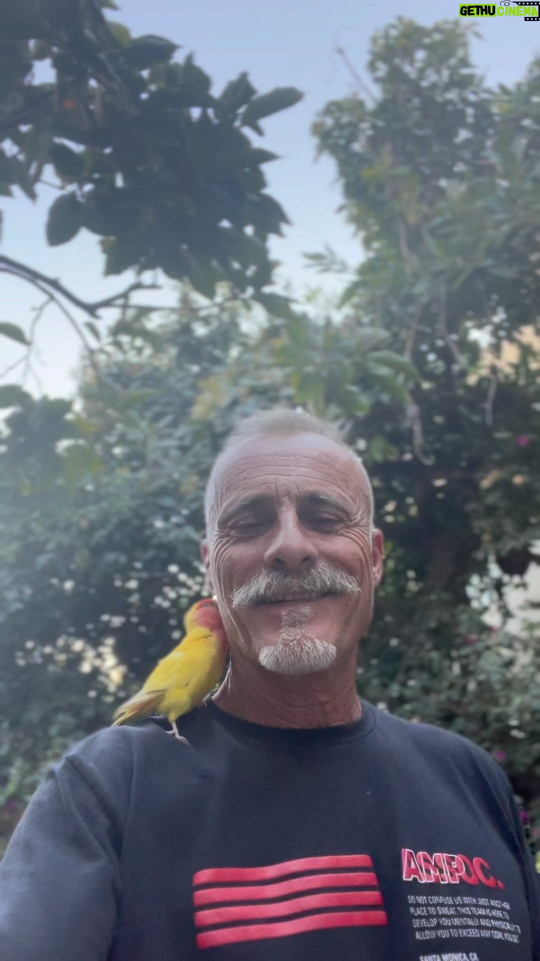 Timothy V. Murphy - 1K Likes - Saint Francis of Assisi #saintfrancis @tonidivincenzo @caitlinamanley ☘️☘️☘️🦜🦜🦜 @ampassoc #pirate #parrots