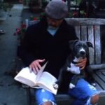 Timothy V. Murphy Instagram - I had to put G down this weekend.We had been the best of friends for about 13 years.This is one of the earliest videos of her.Such a great dog.I did this video with a friend of mine from Argentina,Enzo Bueno for his brothers band at the time.Lots of love to Enzo and Shiva for the video and lots of love for G ,my amazing,gentle pit bull #pittbull @lospinguos #lapoeta @enzo9buono @shivaghodsi ...adios amigo😍😍😍side story,Sean ,my son asked me who the boy in the video was.I told him it would have been him but he wasn't born yet.He asked me what I was writing and I told him I was writing a wish down that I would have a son.Then he asked me why I looked sad in the video and I told him because he hadn't arrived yet.He smiled.🥲🥲🥲😍😍😍