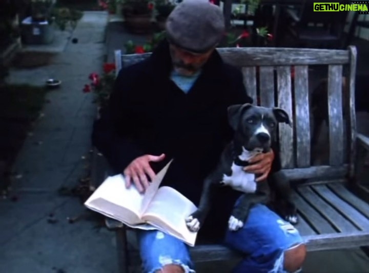 Timothy V. Murphy - 650 Likes - I had to put G down this weekend.We had been the best of friends for about 13 years.This is one of the earliest videos of her.Such a great dog.I did this video with a friend of mine from Argentina,Enzo Bueno for his brothers band at the time.Lots of love to Enzo and Shiva for the video and lots of love for G ,my amazing,gentle pit bull #pittbull @lospinguos #lapoeta @enzo9buono @shivaghodsi ...adios amigo😍😍😍side story,Sean ,my son asked me who the boy in the video was.I told him it would have been him but he wasn't born yet.He asked me what I was writing and I told him I was writing a wish down that I would have a son.Then he asked me why I looked sad in the video and I told him because he hadn't arrived yet.He smiled.🥲🥲🥲😍😍😍