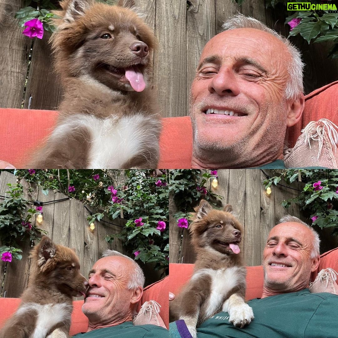 Timothy V. Murphy - 898 Likes - My cute dog @tobemiro @thecjperry