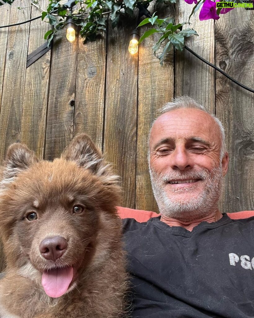 Timothy V. Murphy Instagram - One man and his puppy😍😍😍…the strange expression on my face was me trying to get the selfie before she moved @tobemiro @thecjperry