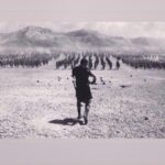Timur Khizriev Instagram - Take the inevitable with dignity ⚔️