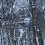 Timur Khizriev Instagram - 🏂❄️🗻 Домбай, Высота 3200 м., Карачаево-Черкесская Республика