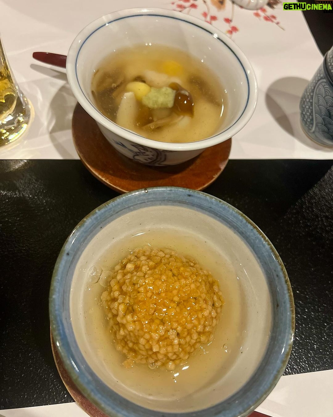 Tina Guo Instagram - 24 hours in Kyoto -Beautiful Kaiseki Dinner & eating our way through Uji, the Mecca of Matcha 🍵! ____________________________ Uji Tencha (Green Matcha Noodles) is available only once a year. Tea leaves produced in Uji City are extremely rare and produced in extremely small quantities, with new leaves being hand-picked. Namacha soba is made with carefully selected matcha and buckwheat flour. The Matcha Parfait was also to die for! More photos in my stories 🤤❤️ Kyoto, Japan
