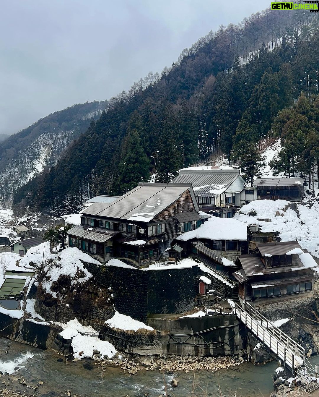 Tina Guo Instagram - Yesterday’s adventure: Shinkansen 🚄 Bullet Train from Tokyo to Nagano, bus from Nagano Station to the bottom of the mountain, 1 mile hike up a slightly icy path to monkey heaven 🏔️ 🐒❤️ 地獄谷野猿公苑 (Jigokudani Snow Monkey Park)