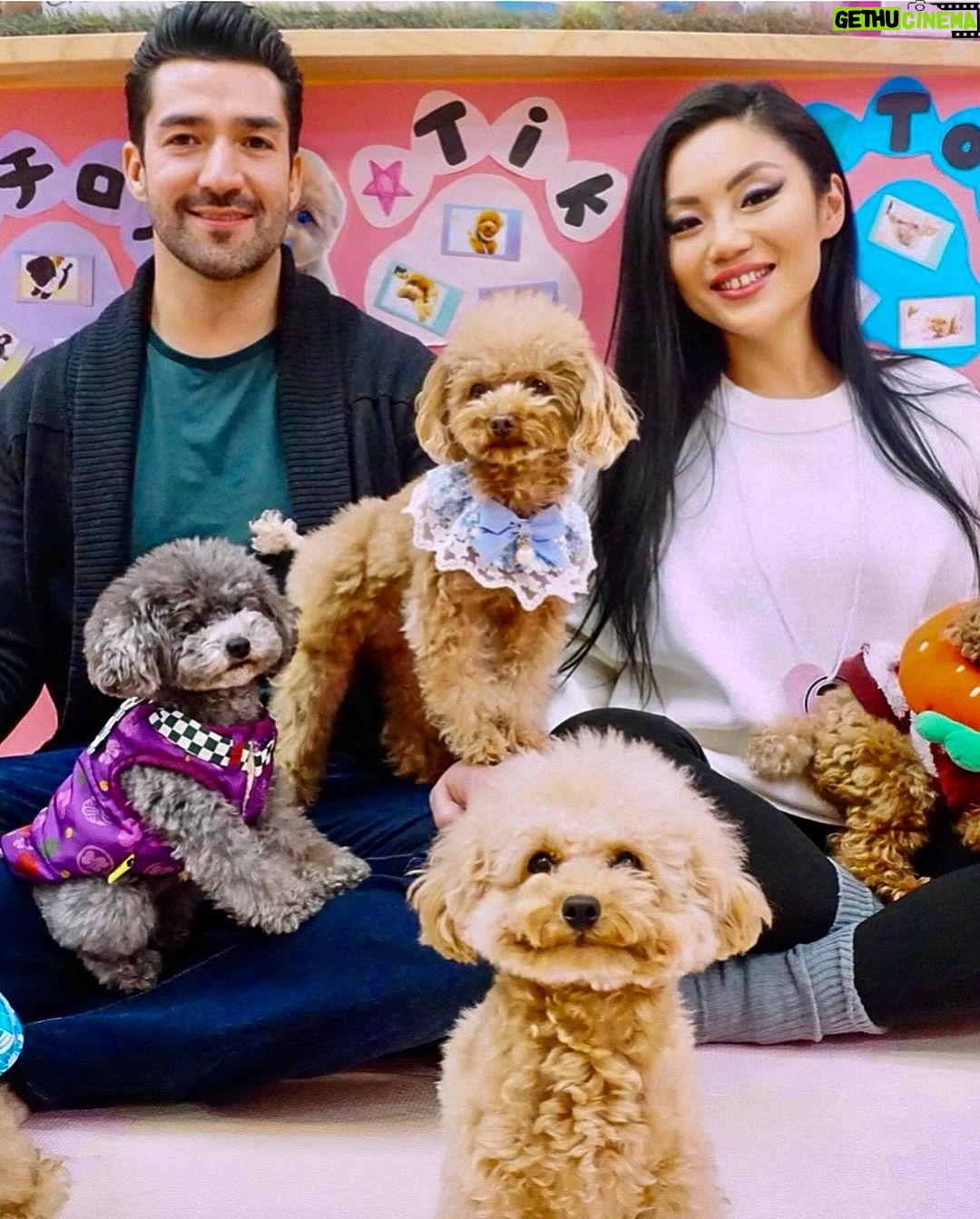 Tina Guo Instagram - Day 2 in Tokyo! ❤️ Akihabara Maid Cafes, Fluffy Pancakes, Micro Tea Cup Poodles, Adult Stores (no photos of that one 😂) and Cup Noodle Claw Machines ❤️ @micro_teacup.cafe.akihabara @athome__cafe Tokyo, Japan