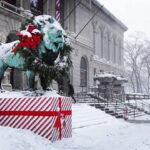 Tolga Karel Instagram – snow ❄️❄️ at last  #chicago ☃️🐼❤️🍉 #chrismas Art Institute Musuem of Chicago