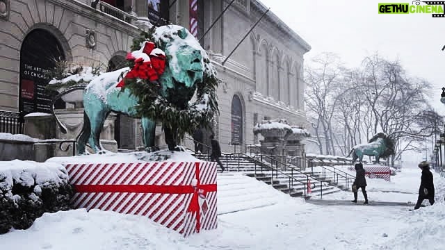 Tolga Karel Instagram - snow ❄️❄️ at last #chicago ☃️🐼❤️🍉 #chrismas Art Institute Musuem of Chicago