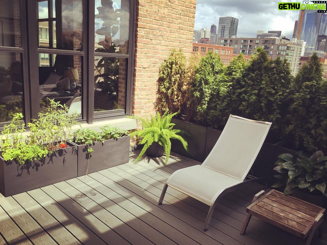 Tolga Karel Instagram - organik tarımda yaparım ☺️☺️ domates - biber - çilek - nane 🙏🏻 Acorn lofts (O'connor)