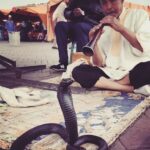 Tolga Karel Instagram - yılan dansı 😊👍🏻🌎 ne güzel de süzülüyor fırlama 😹😹😹 #marrakech #jamaaelfna Jamaa El Fna, Marrakesh, Morocco