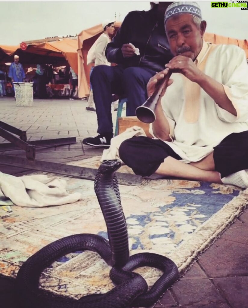 Tolga Karel Instagram - yılan dansı 😊👍🏻🌎 ne güzel de süzülüyor fırlama 😹😹😹 #marrakech #jamaaelfna Jamaa El Fna, Marrakesh, Morocco