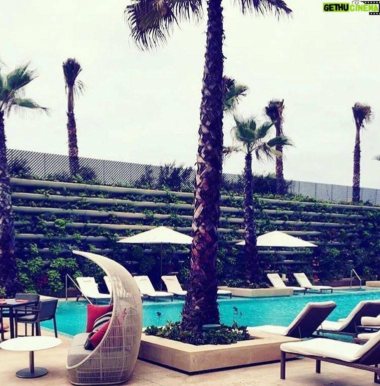 Tolga Karel Instagram - #relaxmorning #casablanca 😎🌎 Four Seasons Hotel Casablanca