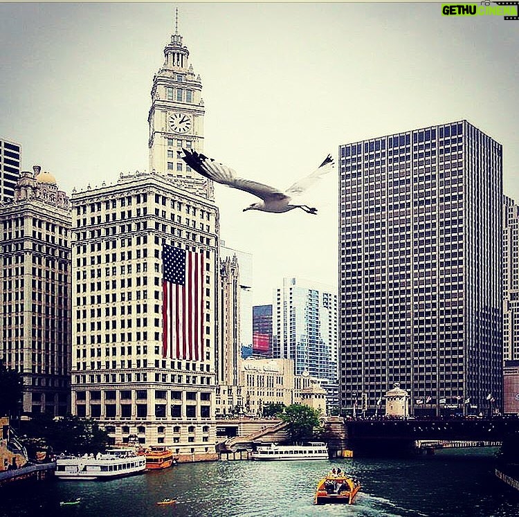 Tolga Karel Instagram - 🌎🇺🇸🇹🇷 #Cimfa West Chicago, Illinois