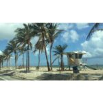 Tolga Karel Instagram - Fort Lauderdale, Florida