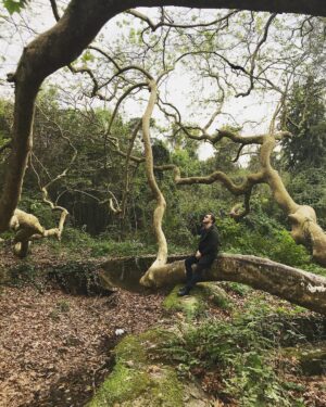 Tolga Sarıtaş Instagram - #Fall