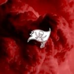 Tom Brady Instagram - LFG