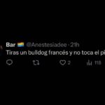 Tomás Kirzner Instagram - El proyecto empezó bien por suerte…