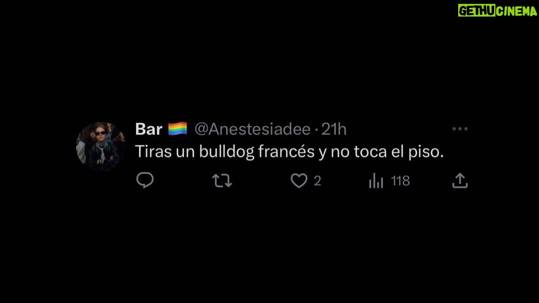 Tomás Kirzner Instagram - El proyecto empezó bien por suerte…