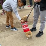 Tomás Silva Instagram - Passeio antes da chuva torrencial em San Diego 😭🐾 San Diego, California