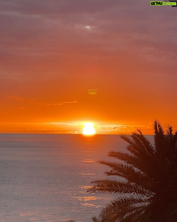 Tomás Silva Instagram - dump tardio do segundo dia em que percebi que a madeira é mais instável que eu, com vaquinhas na estrada, chuva do nada e tempo incrível depois com pôr do sol magnífico 🌊🌅🫰🏻 Madeira, Portugal