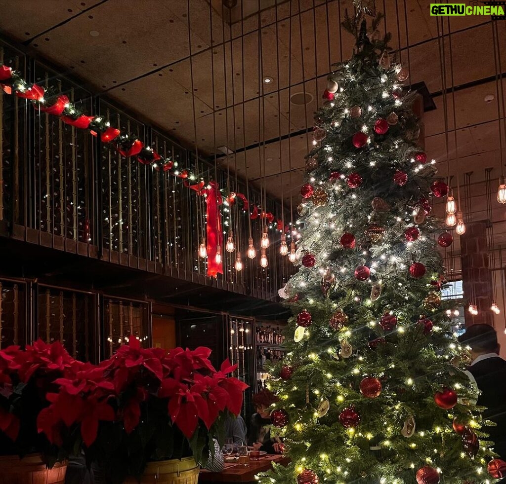 Tom Colicchio Instagram - Our halls are decked and ready to welcome you & yours all season long. 🎁 If you are celebrating Christmas Eve in the city, we will be hosting at 19th & Park with a four-course menu featuring all our favorite holiday flavors like Burgundy Truffles, Dry-Aged Ribeyes & Bone Marrow Popovers, Bûche de Noels & Sticky Toffee Puddings! Reservations on @opentable. Cozying up at home instead? @tomcolicchio’s Ultimate Holiday Roast Menu is also available for 12/24 pickup and can be pre-ordered by visiting the link in our bio. ✨ #craftnyc #tomcolicchio #nyc #christmaseve #hokidayseason #unionsquareny #booknow #opentable #topcitybites #topnycrestaurants #makepeoplehappy Craft New York