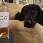 Tom Colicchio Instagram - Dog pics for gloomy days @verytikigirl New York, New York