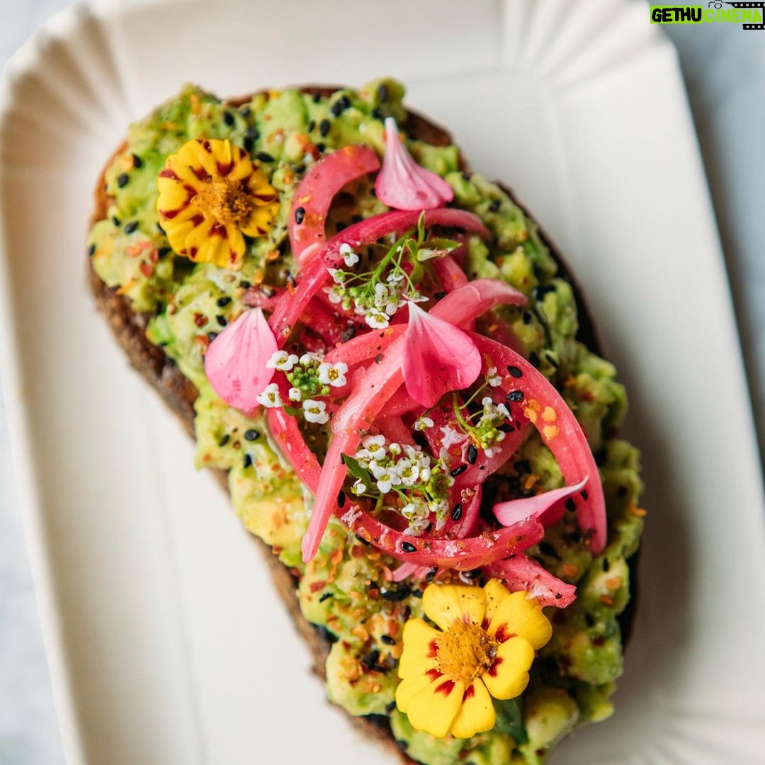 Tom Colicchio Instagram - Day 2 of the @eatsupernatural NYC pop-up with @chefchloe gets underway at 11am.☀️ And is open for lunch everyday (11am - 3pm at 47 East 19th Street) thru Sunday, 10/1. I hope you’ll stop by and check out the latest version of our collaboration.