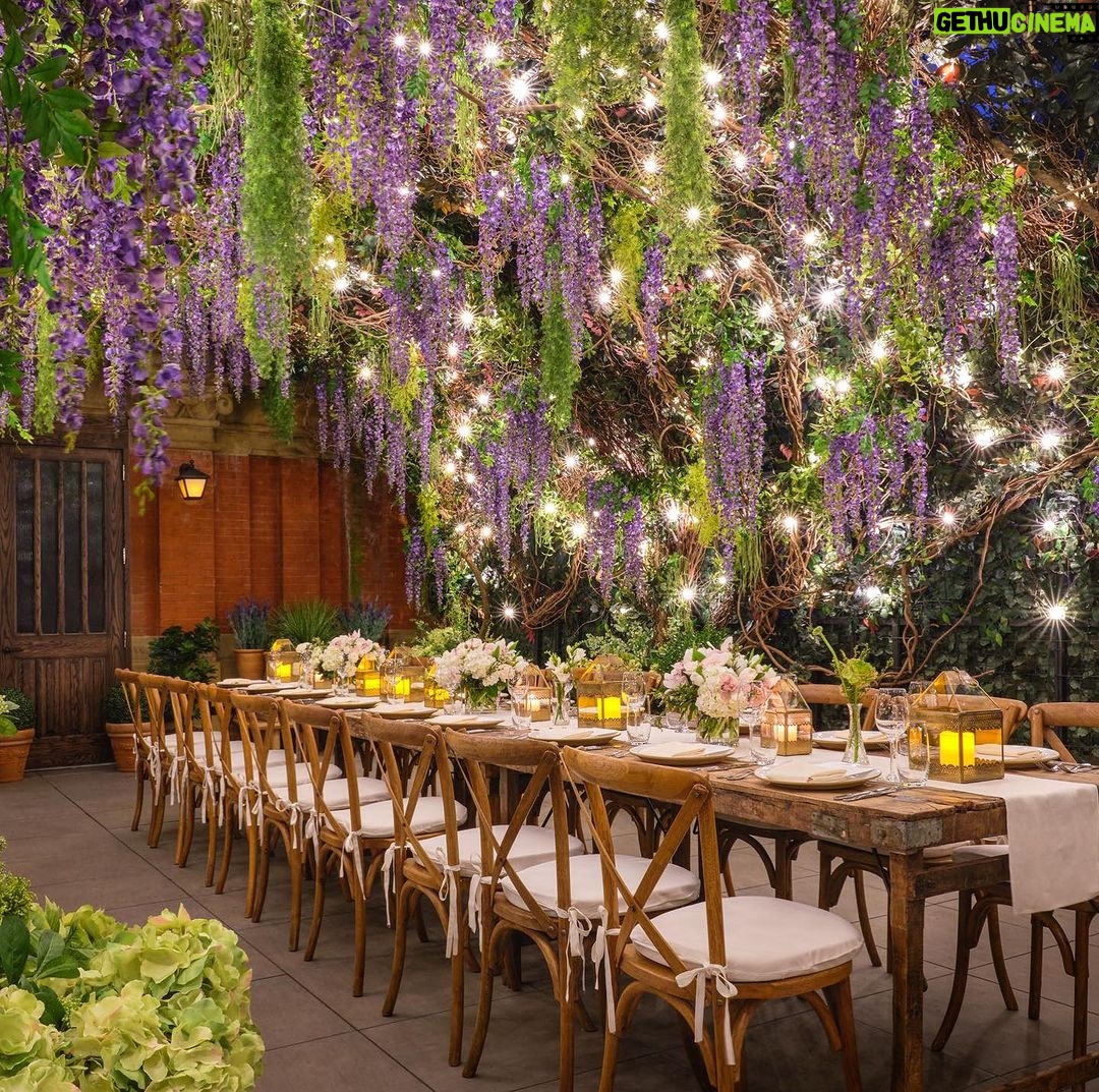 Tom Colicchio Instagram - YOU’RE INVITED to the top of the @thebeekmanny on Wed., Sept. 20th to help celebrate my friends at the @southernsmokefoundation, and recognize the expansion of Behind You, their no-cost mental health counseling program for F&B workers. The evening’s celebration is taking place on The Beekman’s wisteria-adorned West Terrace, and starts with a cocktail reception followed four, seasonal courses from me and a curated wine selection from @rsvnapa. Proceeds from the evening will benefit the Southern Smoke Foundation and their work to provide a safety net for the F&B industry. Link in my bio for tickets or to donate directly. 🤝 #templecourt #thebeekmanhotel #makepeoplehappy #southernsmokefoundation #mentalhealth #takingcareofourown The Beekman, A Thompson Hotel