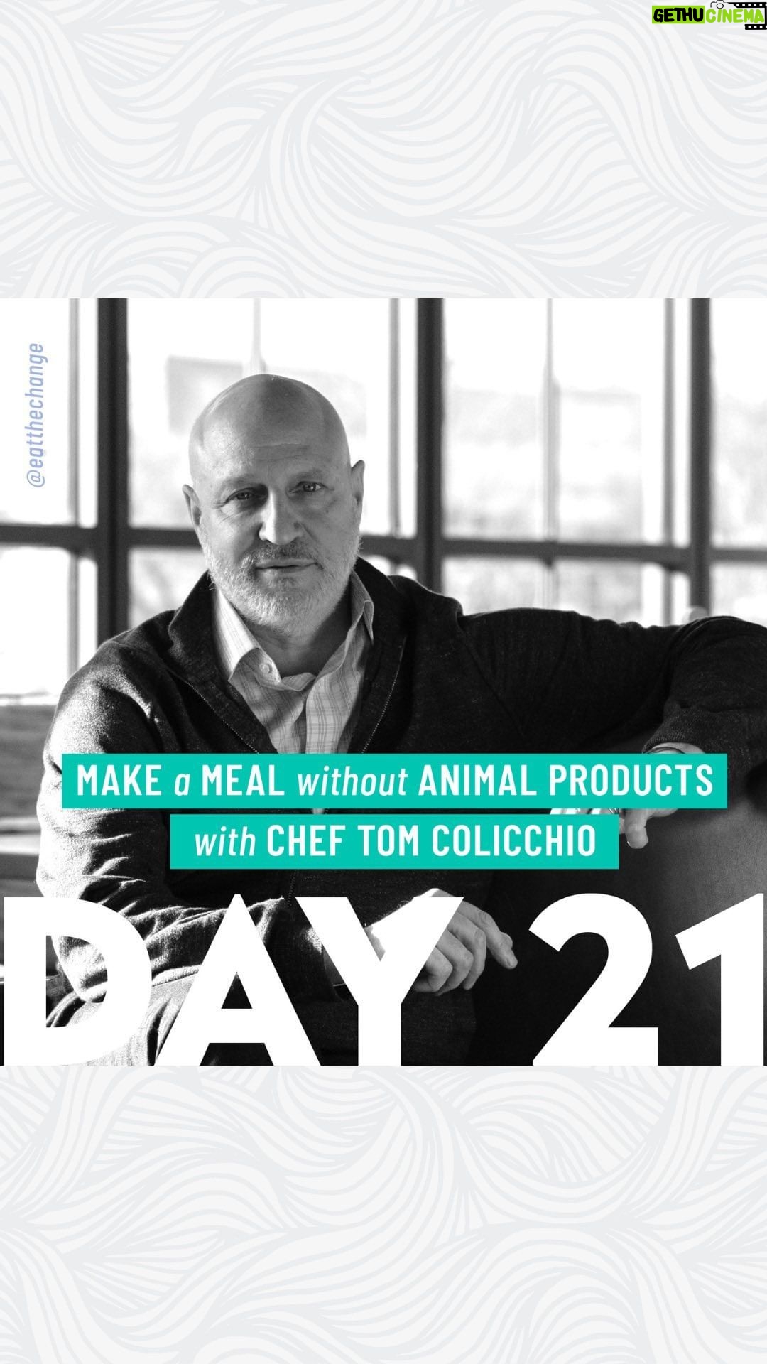 Tom Colicchio Instagram - On the final day of our #incrEDIBLEplanetchallenge, we’re giving you the ultimate task to prepare a meal without animal products. One winner will receive a gift card to @erewhonmarket! 🌎💚 To provide some inspiration, we’ve partnered with @tomcolicchio on a delicious stir fry recipe using @eatmindblown Plant Based Dusted Scallops! Tom is the chef and owner of Crafted Hospitality, which currently includes New York’s Craft, Temple Court and Vallata; Long Island’s Small Batch Los Angeles’ Craft Los Angeles; and Las Vegas’ Heritage Steak and Craftsteak. An 8-time James Beard Award winner, he is the Head Judge and Executive Producer of Bravo’s Top Chef, host of the Citizen Chef Podcast on iHeartRadio and founding member of the Independent Restaurant Coalition. We challenge you to cook along or share your recipe for a plant-based meal! Enter today for a chance to win an @erehwonmarket gift card. Show us your meals by sharing on IG Stories tagging @eatthechange and using hashtag #incrEDIBLEplanetchallenge 🎉👏 Here’s how to enter: 🌎 Share yourself cooking or share your recipe for a plant-based meal on IG Stories, Tag @tomcolicchio and @eatthechange and use hashtag #incrEDIBLEplanetchallenge 👫 Nominate two friends for the challenge by tagging them 🤝 Follow @tomcolicchio and @eatthechange *One winner will be selected. This giveaway is valid in the US ONLY. Winner will be directly contacted from @eatthechange ONLY.