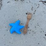 Tom Colicchio Instagram - Found on the beach. @caymancookoutofficial The Ritz-Carlton, Grand Cayman