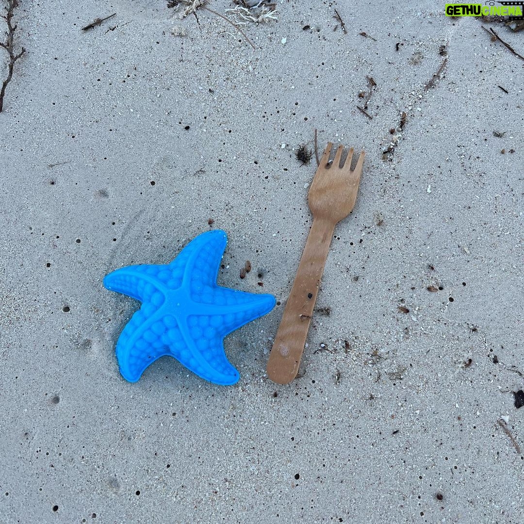 Tom Colicchio Instagram - Found on the beach. @caymancookoutofficial The Ritz-Carlton, Grand Cayman