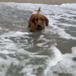 Tom Felton Instagram - 🏖️