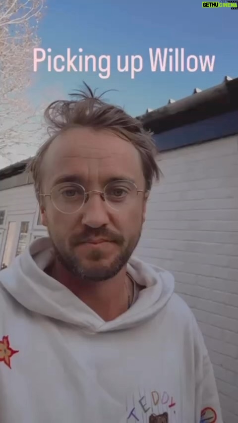 Tom Felton Instagram - Adventures with Willow , here we comes x