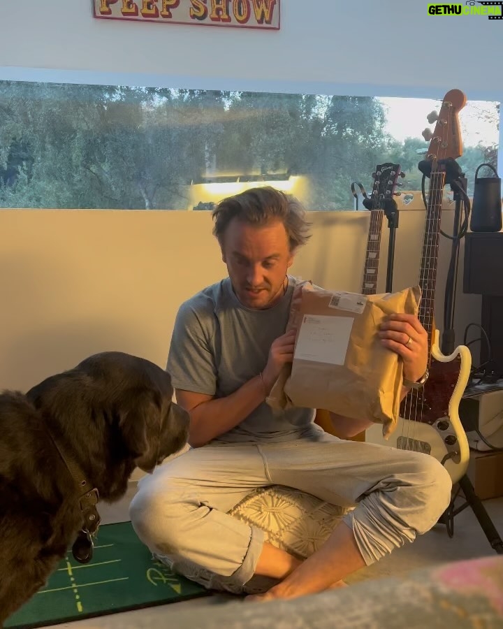 Tom Felton Instagram - #beyondthewand ❤️ 🐶 x