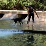 Tom Felton Instagram – The time Willow learnt to swim x Big Sur, California