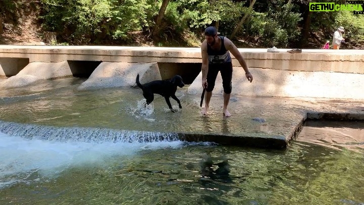 Tom Felton Instagram - The time Willow learnt to swim x Big Sur, California