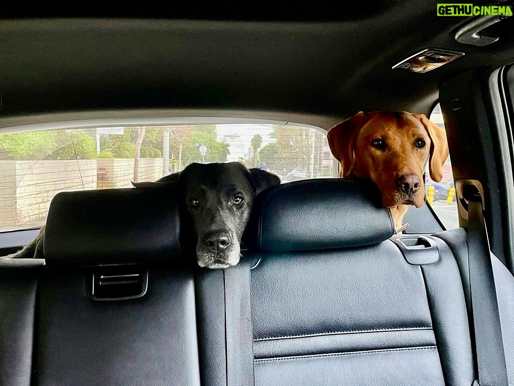 Tom Felton Instagram - Please tell me we’re going to the park dad