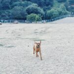 Tom Felton Instagram - Aerodynamic