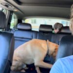 Tom Felton Instagram -