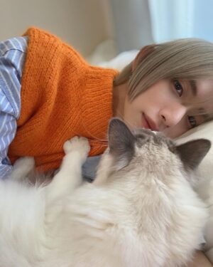 Toman Instagram - .
🧡🛏🐈