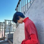 Toman Instagram - . new hair 🖤💙 ずっと髪を暗くするタイミングを計っていたけど LIVEに合わせてチームカラーの青をチラ見せです . 桃ちゃん家のおこめさん可愛すぎる🐶 テレビでお犬さんが映るたびに 「わんちゃんと遊びたいな〜」って 嘆いていたのがようやく叶った... 小さな頃からずっと犬と暮らす生活で 今は猫と暮らす生活だけど 犬と猫の可愛さのベクトルって全然違うので どっち派とかはなく とにかく動物が大大大好きです。 ずっと膝の上に乗ってくれてて 桃ちゃんに着いて歩く姿も 全部愛おしすぎた。癒されたな〜...