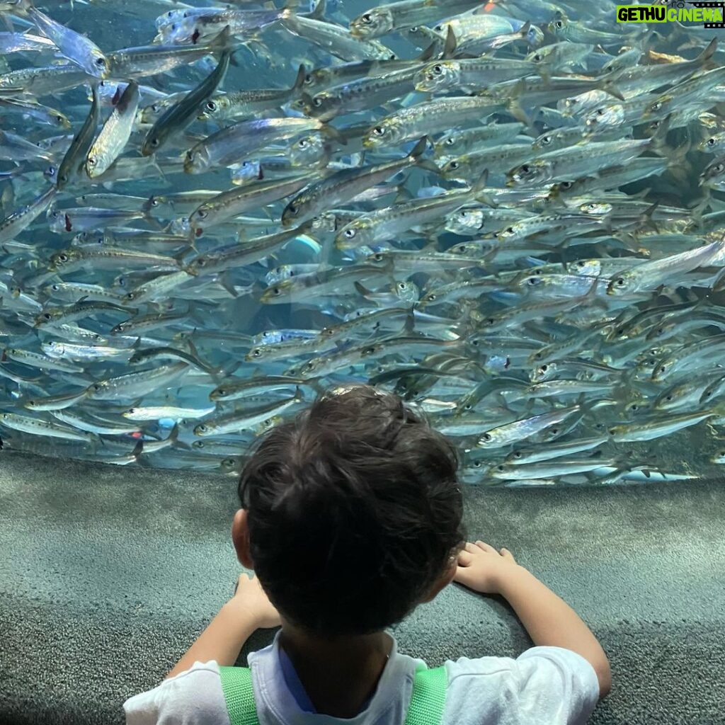 Toman Instagram - . ポットデスがお茶を淹れてくれるのかわいすぎた🫖🥤 A blissful moment with my nephew. . . #ポケモンカフェ #サンシャイン水族館 サンシャイン水族館-Sunshine Aquarium