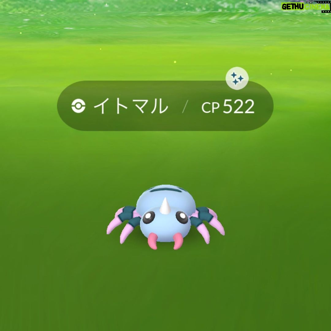 Toman - 844 Likes - .
久しぶりに母と姉とランチ🍝🍕
I had lunch w/ my mom and sis.
.
最近ポケモンGOでたくさん色違いに出会う。アゲ⤴︎