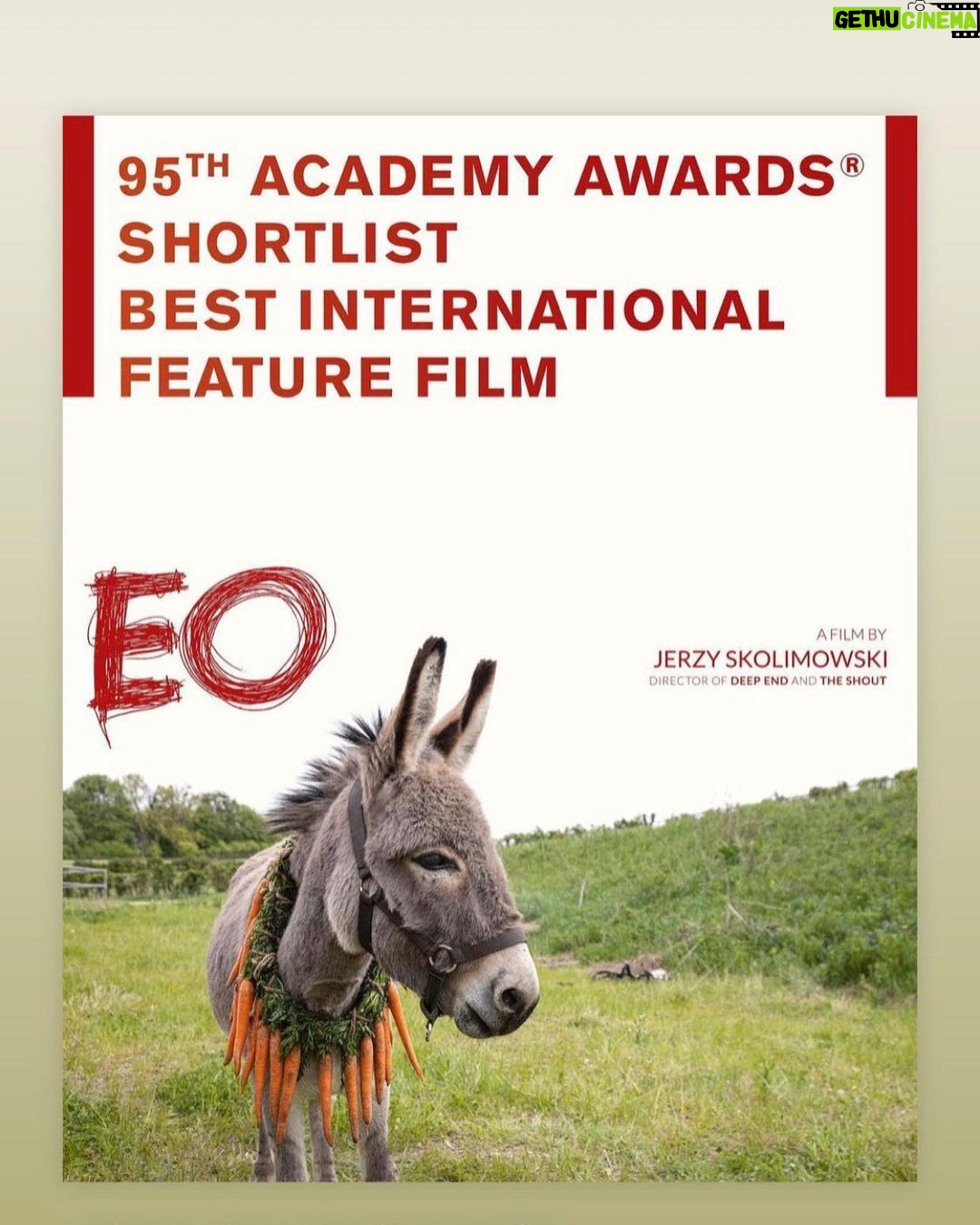 Tomasz Organek Instagram - Jestem szczęśliwy. Nasz @eo_film_official znalazł się na oskarowej shortliście. Kto wie, co będzie dalej 😎 #eo #film #skolimowski #organek #ziom #oscars #lacanzonedelciuccio #hollywood #la Brawo : @ewa_piaskowska @gutekfilm ❤️ Poland