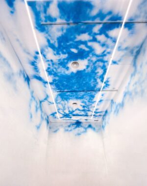 Tomaz Viana Instagram - Fotos por @roberiobraga da minha exposição, "Céu na Terra", aqui no @holariofestival, em Madrid.

Curadoria de @cammilacomdoisemes 

De 8 de setembro à 7 de outubro de 2023, na Casa de América - Sala Guayasamin - Calle Marques del Duero 2, Madri, Espanha.