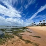 Tomaz Viana Instagram – Aquele clima de verão, um pouco de férias e um pouco de trabalho 💙🫶🏻 Vilas Do Atlantico – Bahia